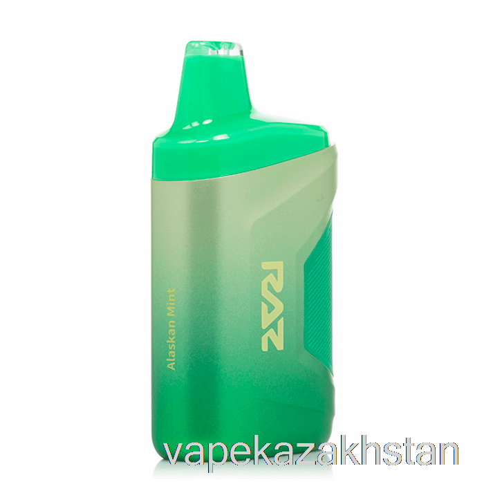 Vape Disposable RAZ CA6000 6000 Disposable Alaskan Mint